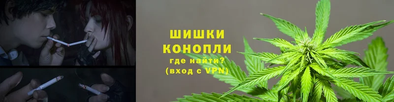 дарк нет Telegram  Игра  Конопля SATIVA & INDICA 